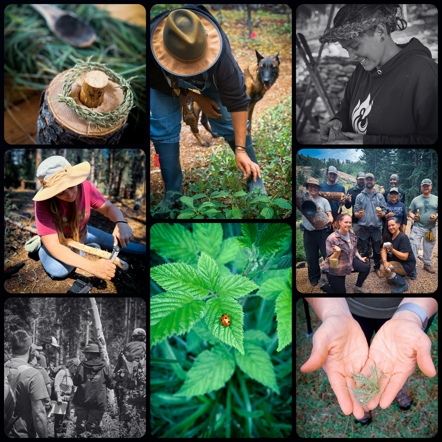 Ethnobotany 101 • COLORADO